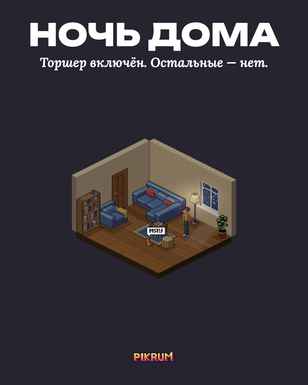 Постер Ночь дома
